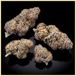 Peanut Butter Breath Autoflower Seeds additional image 2