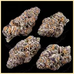 Peanut Butter Breath Feminized Seeds additional image 2