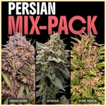 Persian Mix Pack Weed Seeds featured image