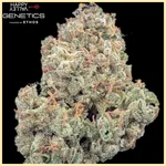 Pineapple Daddy Autoflower Seeds additional image 2