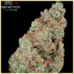 Pineapple Diesel Autoflower Seeds additional image 1
