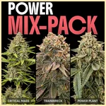 Power Mix Pack Weed Seeds featured image