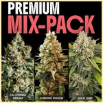 Premium Mix Pack Weed Seeds featured image
