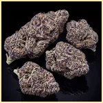 Purple Gelato Feminized Seeds additional image 2