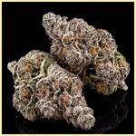 Purple Sunset Autoflower Seeds additional image 2