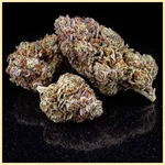 Rainbow Glue Feminized Seeds additional image 1