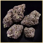 Rainbow Runtz Autoflower Seeds additional image 2