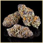 Raspberry Cough Autoflower Seeds additional image 2