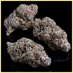 Runtz Feminized Seeds additional image 2