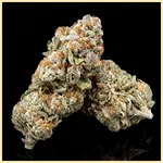 San Fernando Valley Feminized Seeds additional image 2