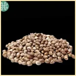 Biscotti Bliss Feminized Seeds additional image 2