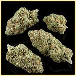 Skunk Autoflower Seeds additional image 2