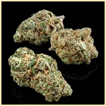 Skunk Fast Version Feminized Seeds additional image 2