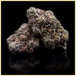 Snickerdoodle Feminized Seeds additional image 3