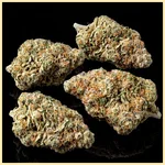 Somango Autoflower Seeds additional image 2