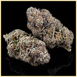Sugar Black Rose Feminized Seeds additional image 2