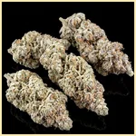 Super Boof Feminized Seeds additional image 2