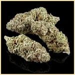 Sweet Tooth Feminized Seeds additional image 2