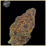 Tangie Queen Feminized Seeds additional image 2