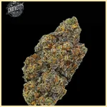 Tangie Queen Feminized Seeds additional image 3