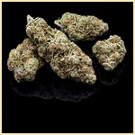 Triple XL Autoflower Seeds additional image 2