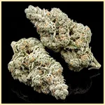 True OG Feminized Seeds additional image 2