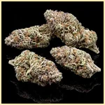 White Gold Autoflower Seeds additional image 2