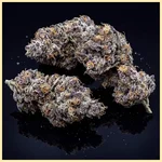 White Runtz Autoflower Seeds additional image 2