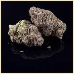 White Runtz Feminized Seeds additional image 2