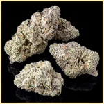 White Wedding Autoflower Seeds additional image 2