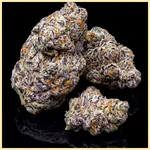 Zkittlez Autoflower Seeds additional image 2
