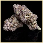Zookies Autoflower Seeds additional image 2