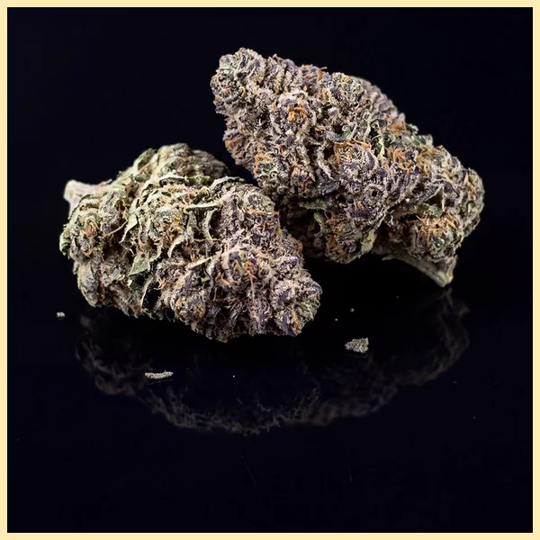 White Runtz Feminized Seeds additional image 2