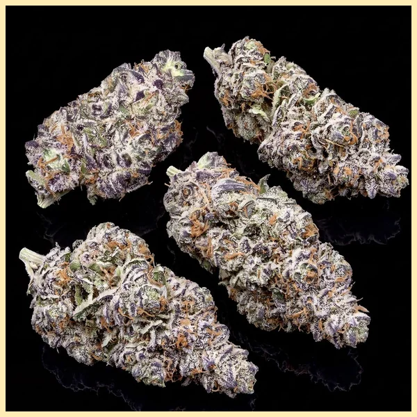 White Truffle Autoflower Seeds additional image 2