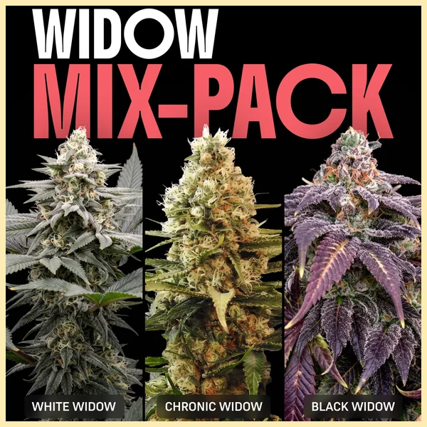 Widow Mix Pack Weed Seeds featured image