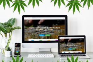 USEED, for marijuana seed business