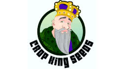 Crop King Seeds—Best North American Seed Bank