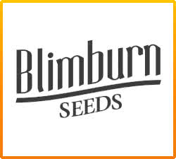 Blimburn Feminized Seed Bank