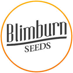 Blimburn Autoflower Seed Bank