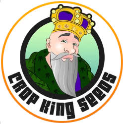 Crop King Autoflower Seed Bank