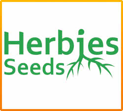 Herbies Feminized Seed Bank