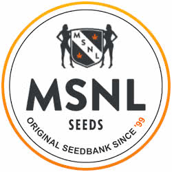 MSNL Autoflower Seed Bank
