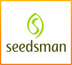 Seedsman Feminized Seed Bank