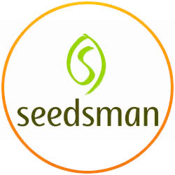 Seedsman Autoflower Seed Bank