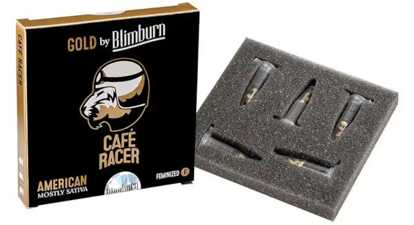 Blimburn Cafe Racer seed pack