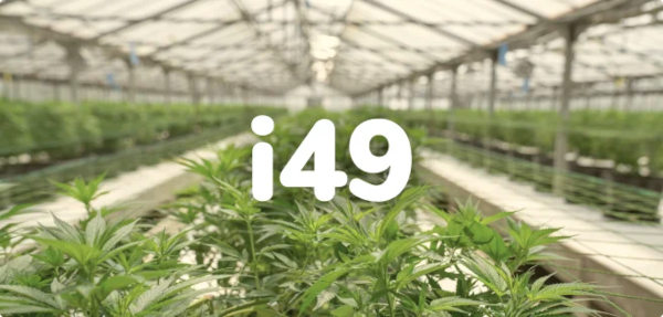 i49 cannabis plant facility
