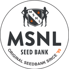 MSNL Logo Round