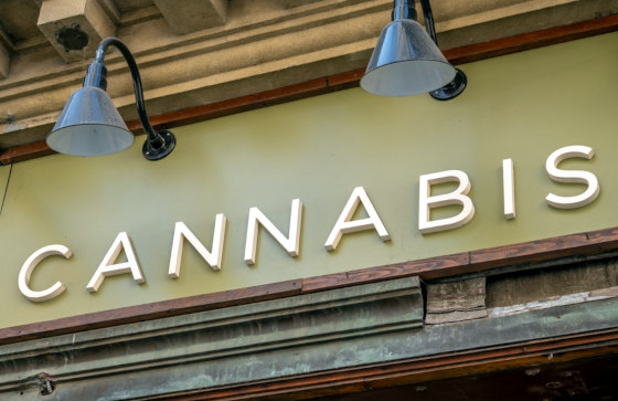 cannabis sign storefront