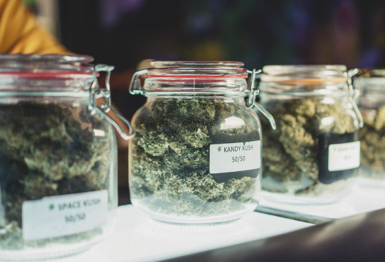 dispensary open cannabis jars