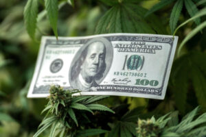 Is Cannabis Growing Still Profitable? U.S. Market Analysis